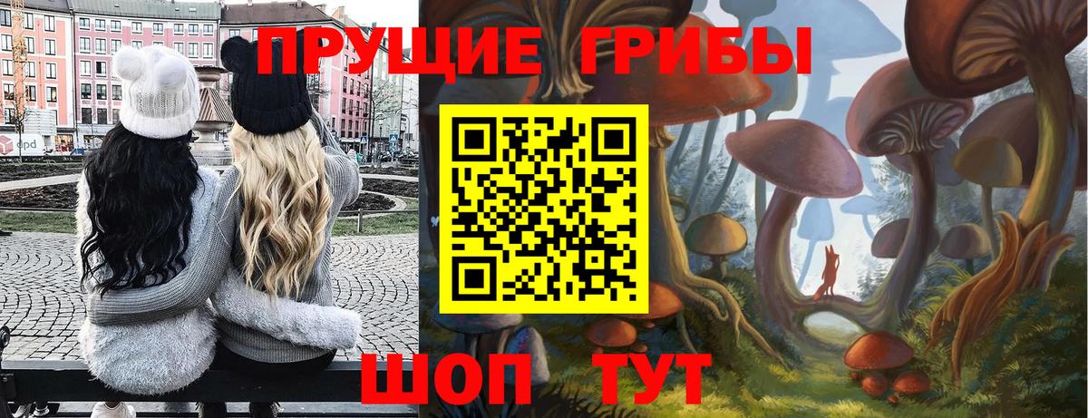Саянск  Псилоцибиновые грибы Cubensis  Вход с VPN 